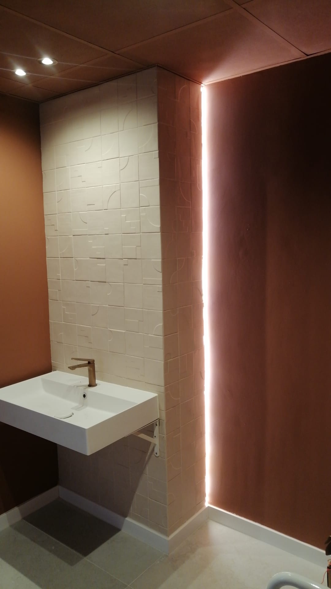 Baño con Lavabo Suspendido e Iluminación LED